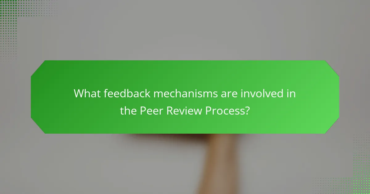 What feedback mechanisms are involved in the Peer Review Process?